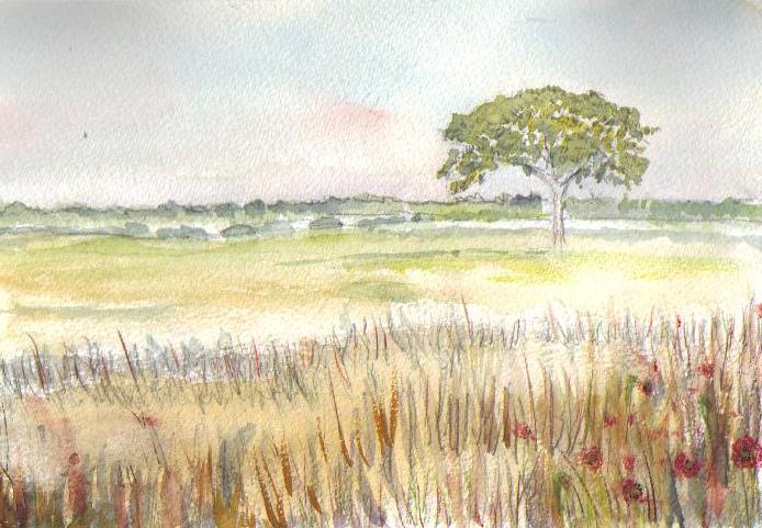 suffolk poppie scene